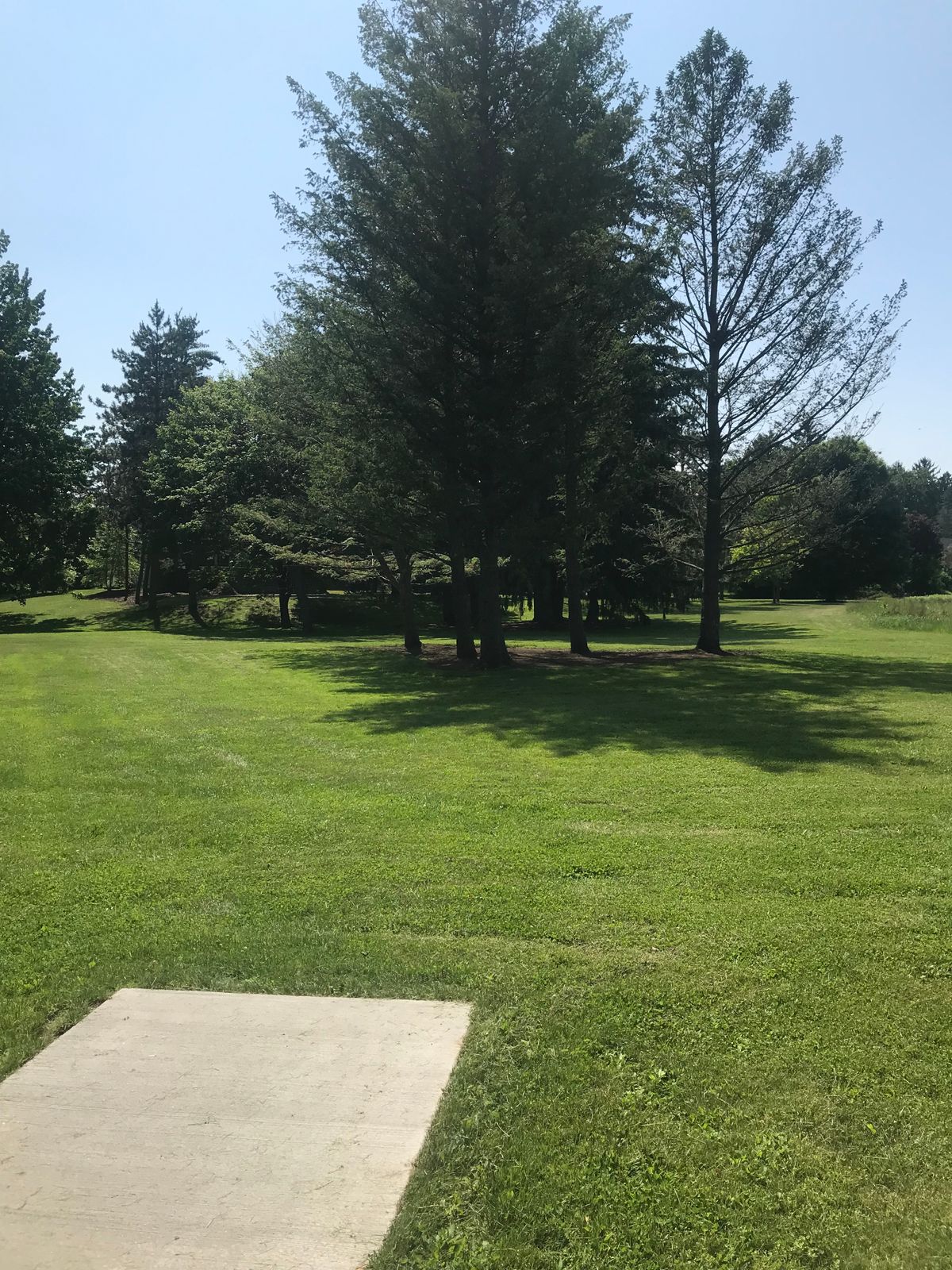 Hole 9 - lots of trees in the middle