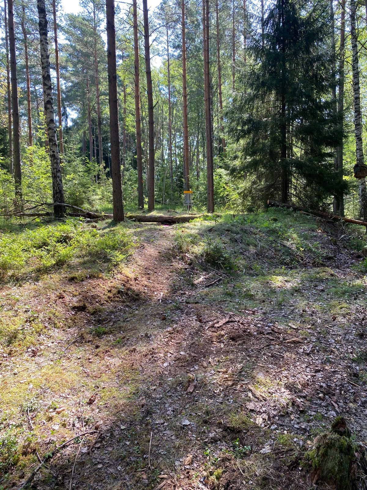 Upshot hole 7