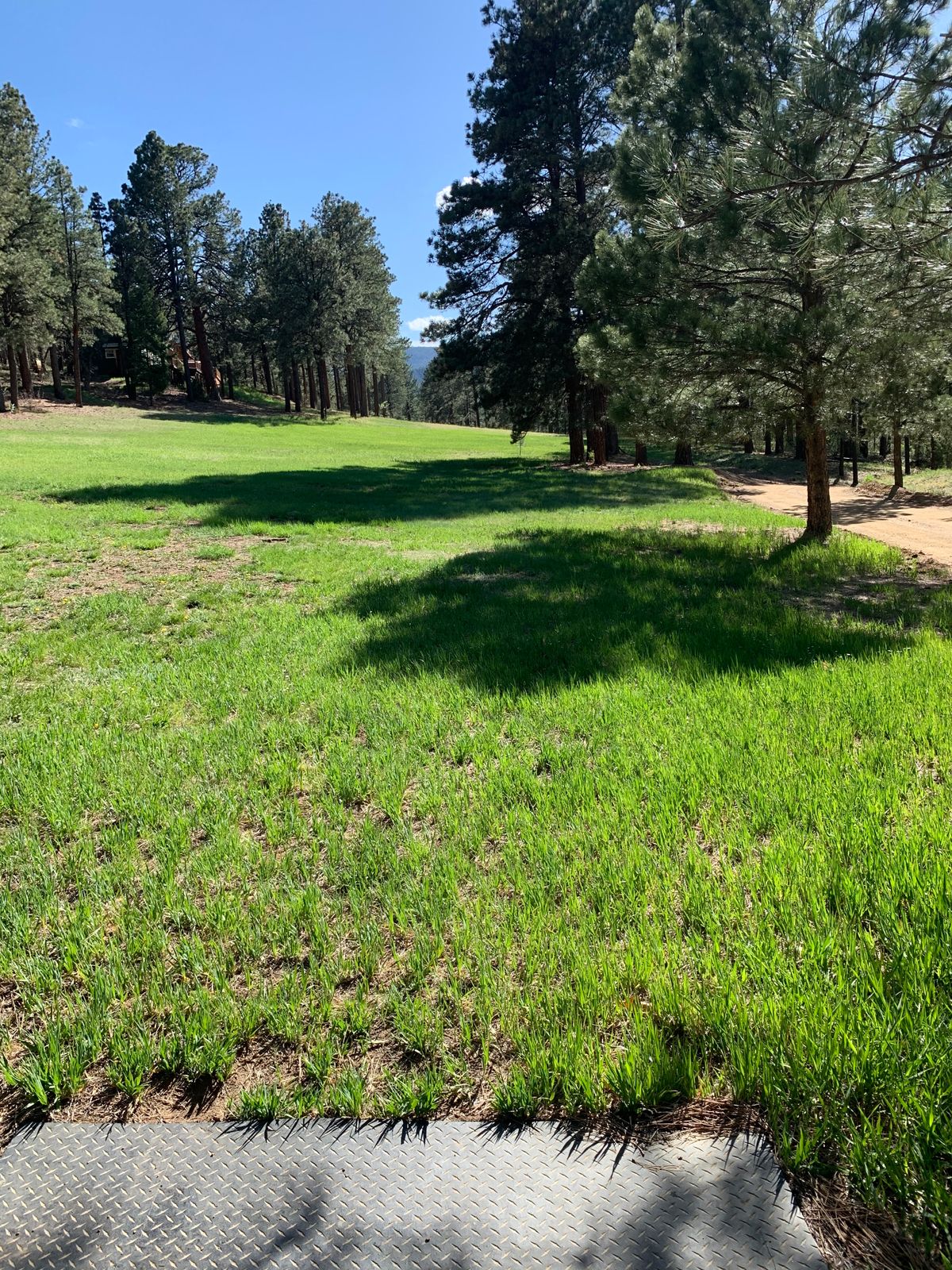 Tee 1