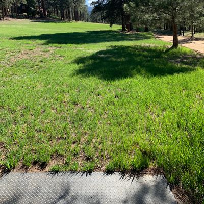 Tee 1