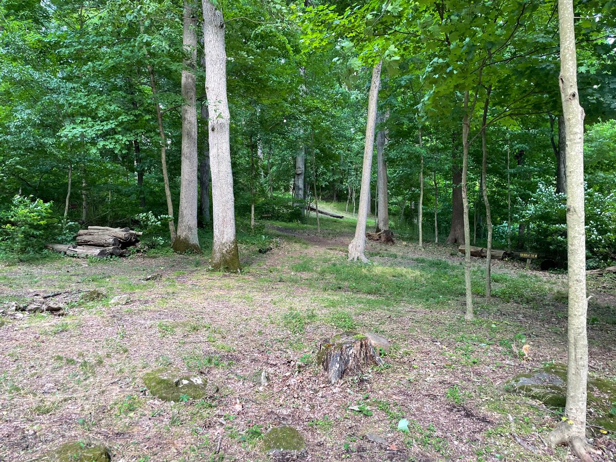 Hole 29 approaching C pin position