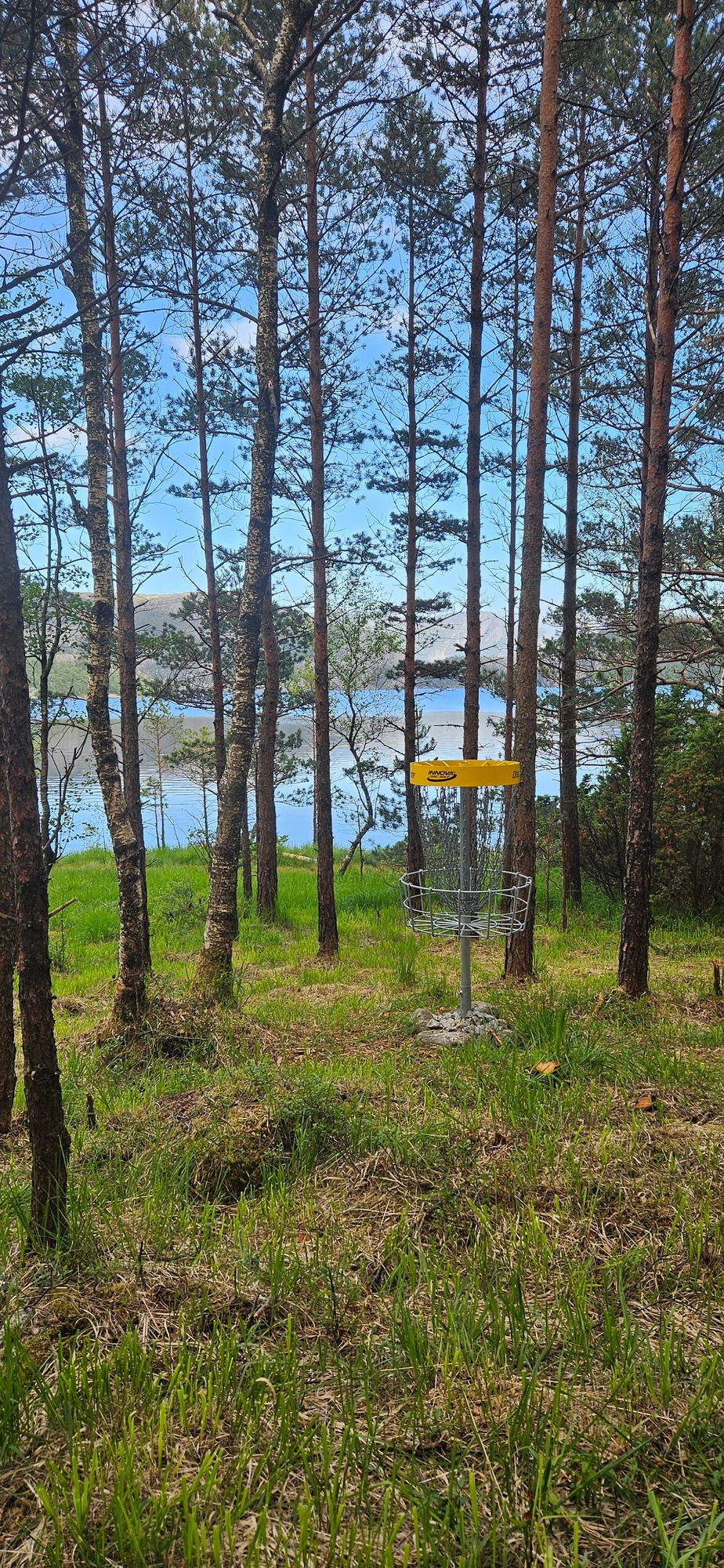 Basket hole 2