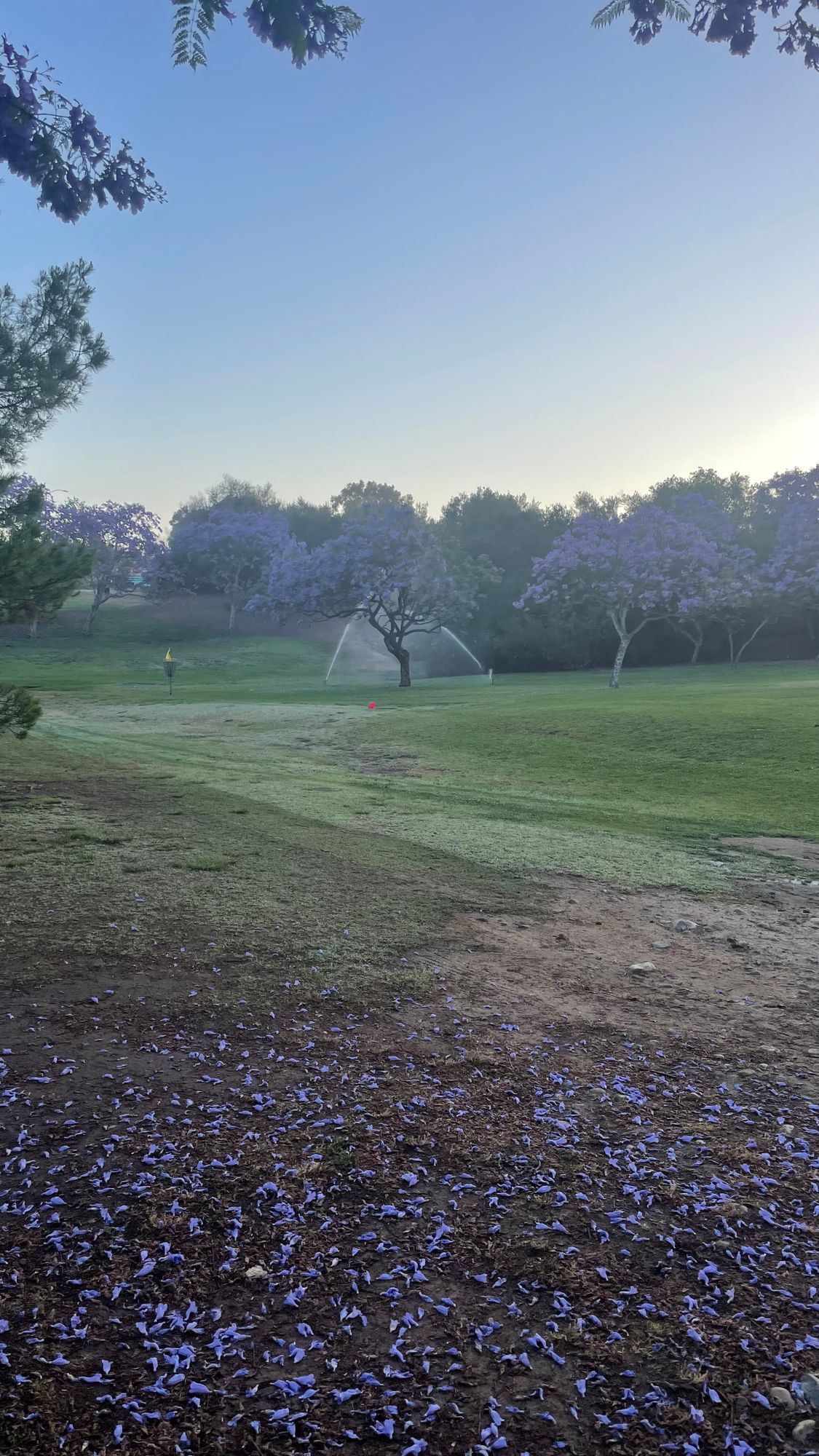 Looking at Hole 3 basket from Hole 2 fairway
