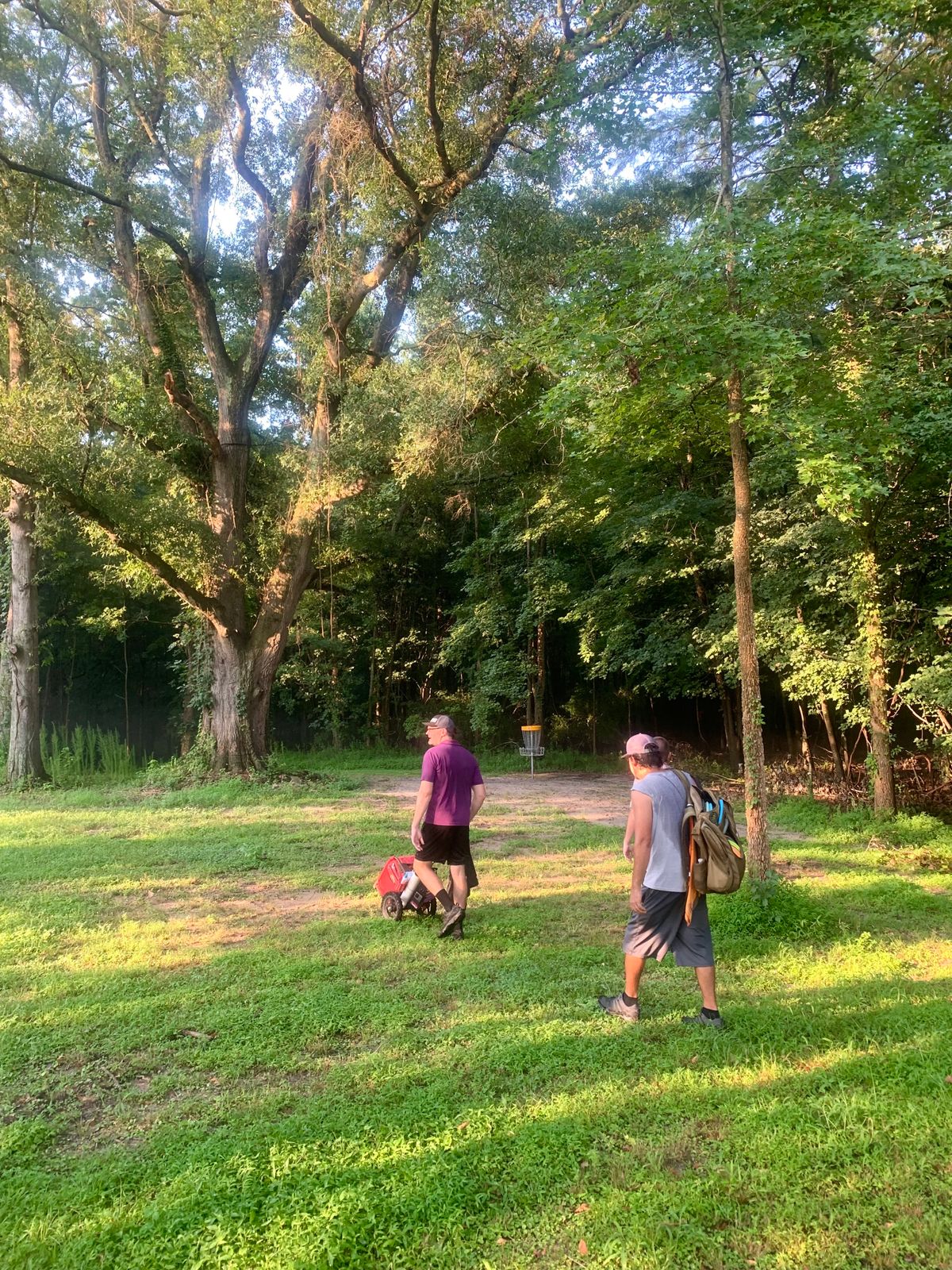 Hole 6 basket