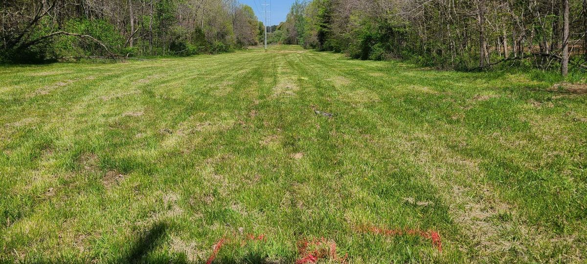 Hole 8 tee