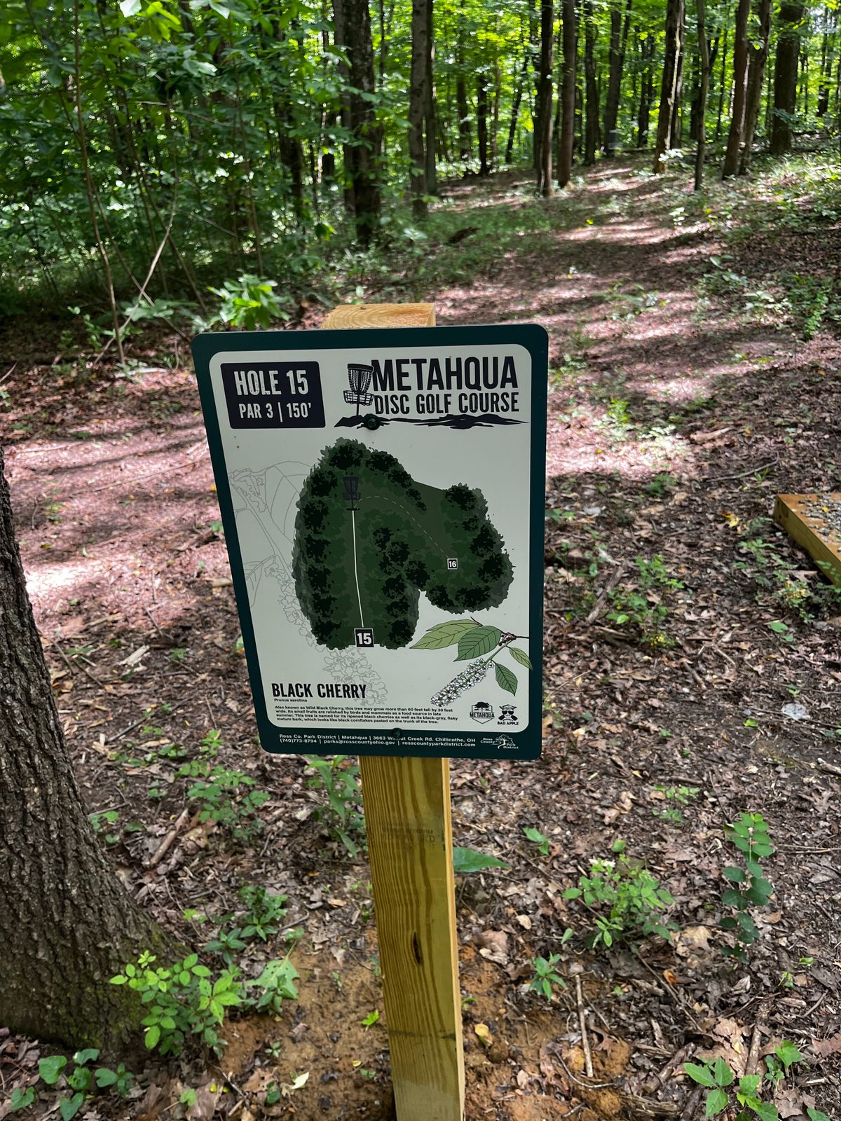 Hole 15 tee sign