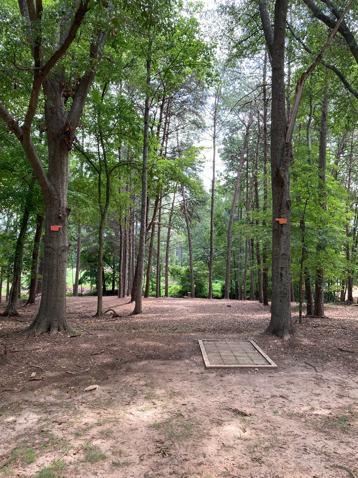 Double Mando - throw from drop zone seen here with 1 stroke penalty if Mando is missed.