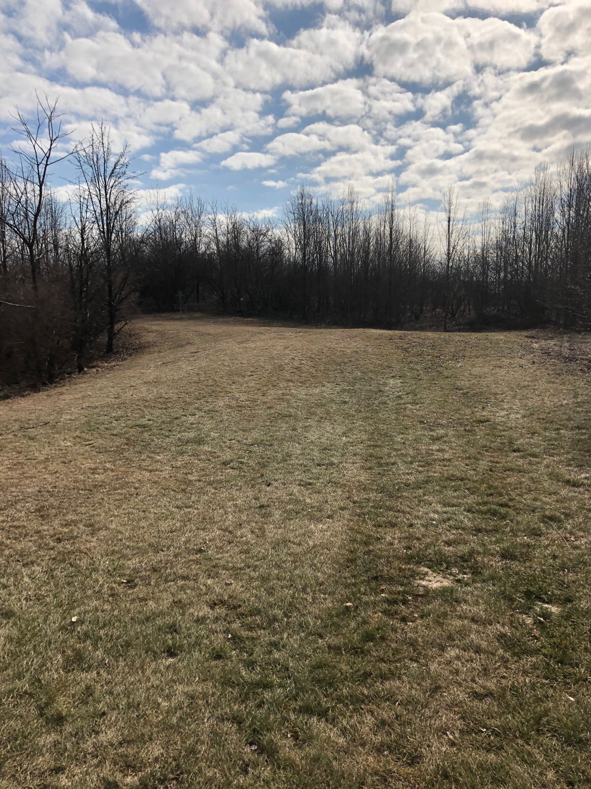 View of basket around dogleg