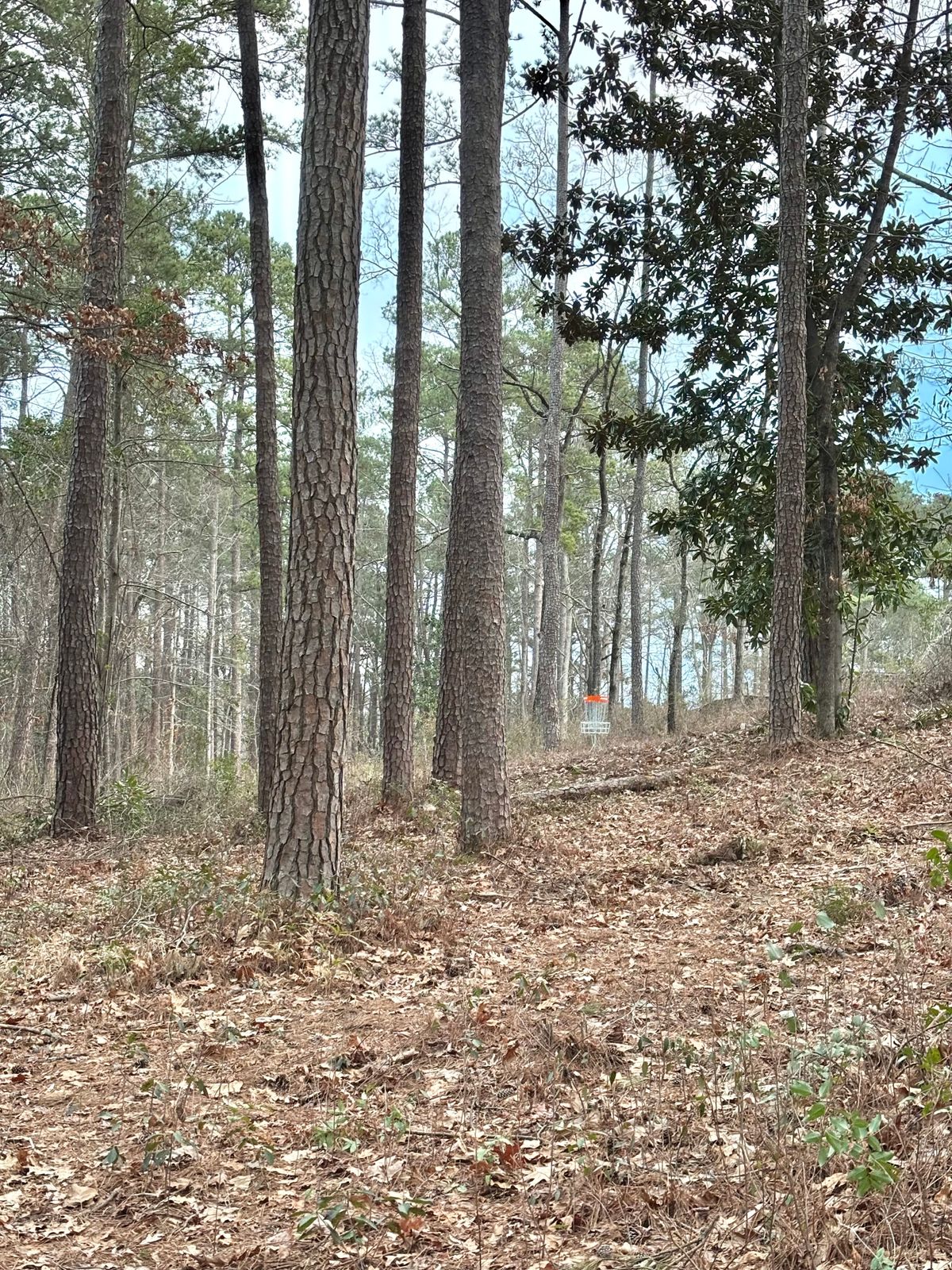 Hole 13 Approach