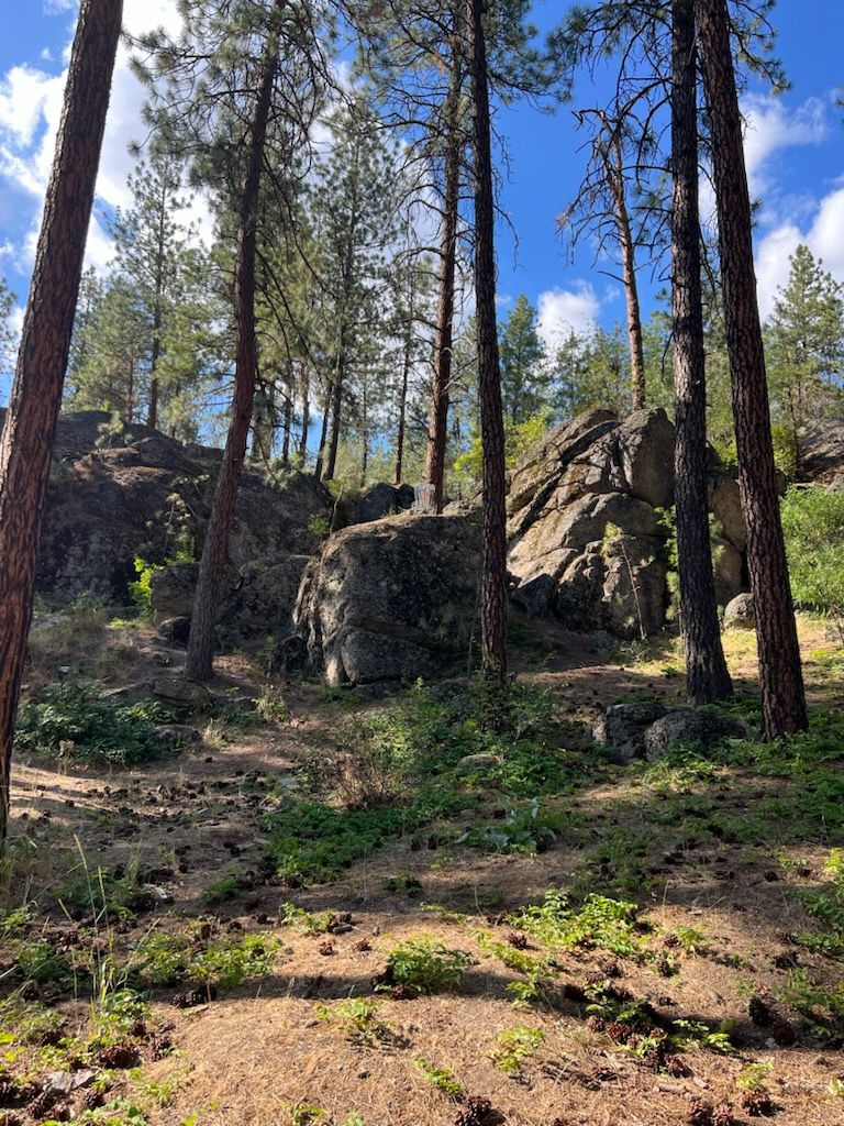 Fun course with  a great layout that's beginner friendly