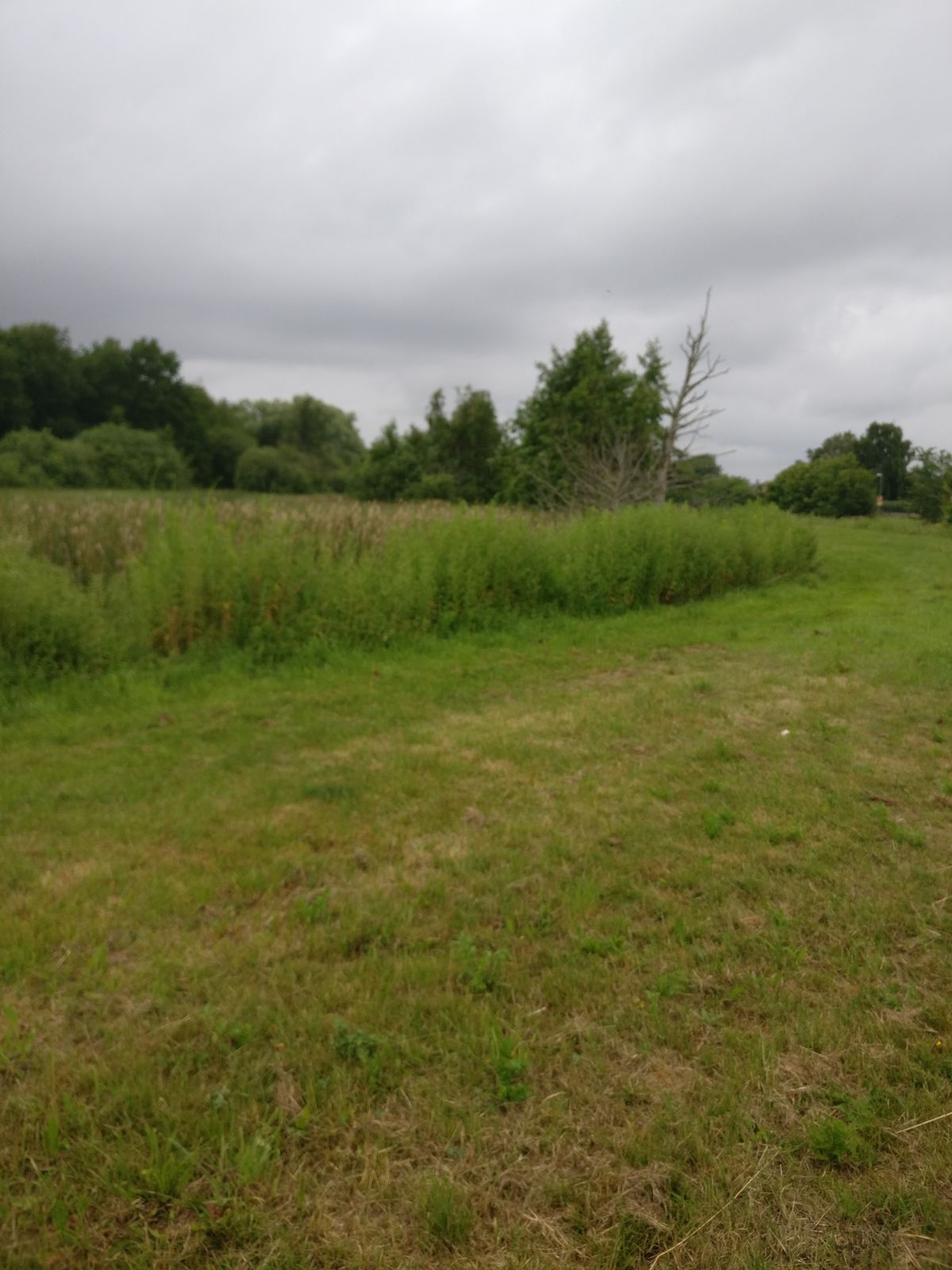 Hole 11