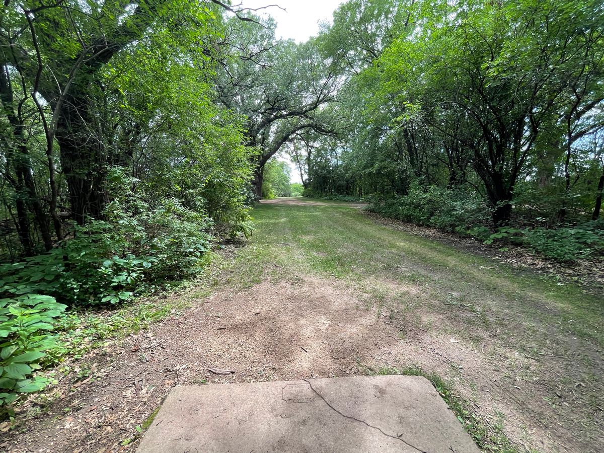 Hole 14 long tee