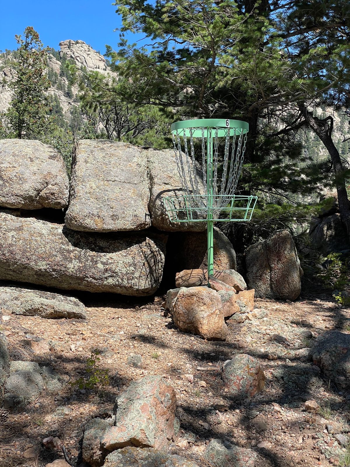 Hole 6 basket