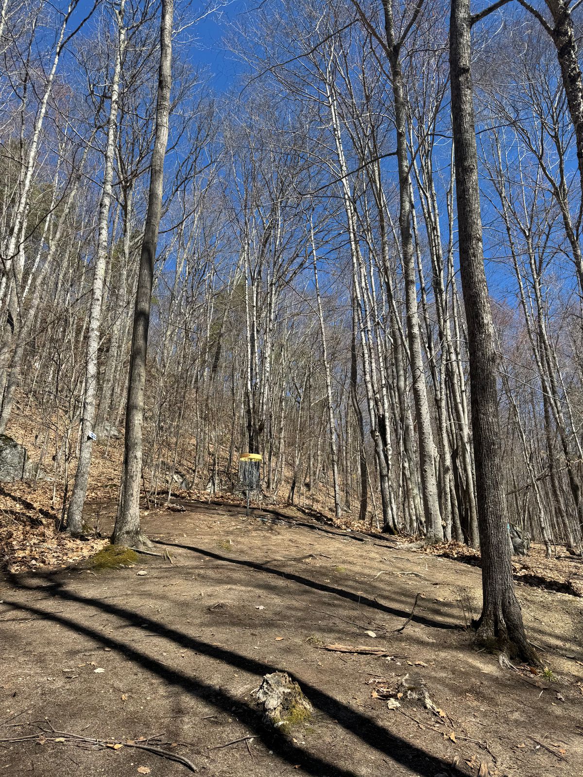 Hole 11 approach
