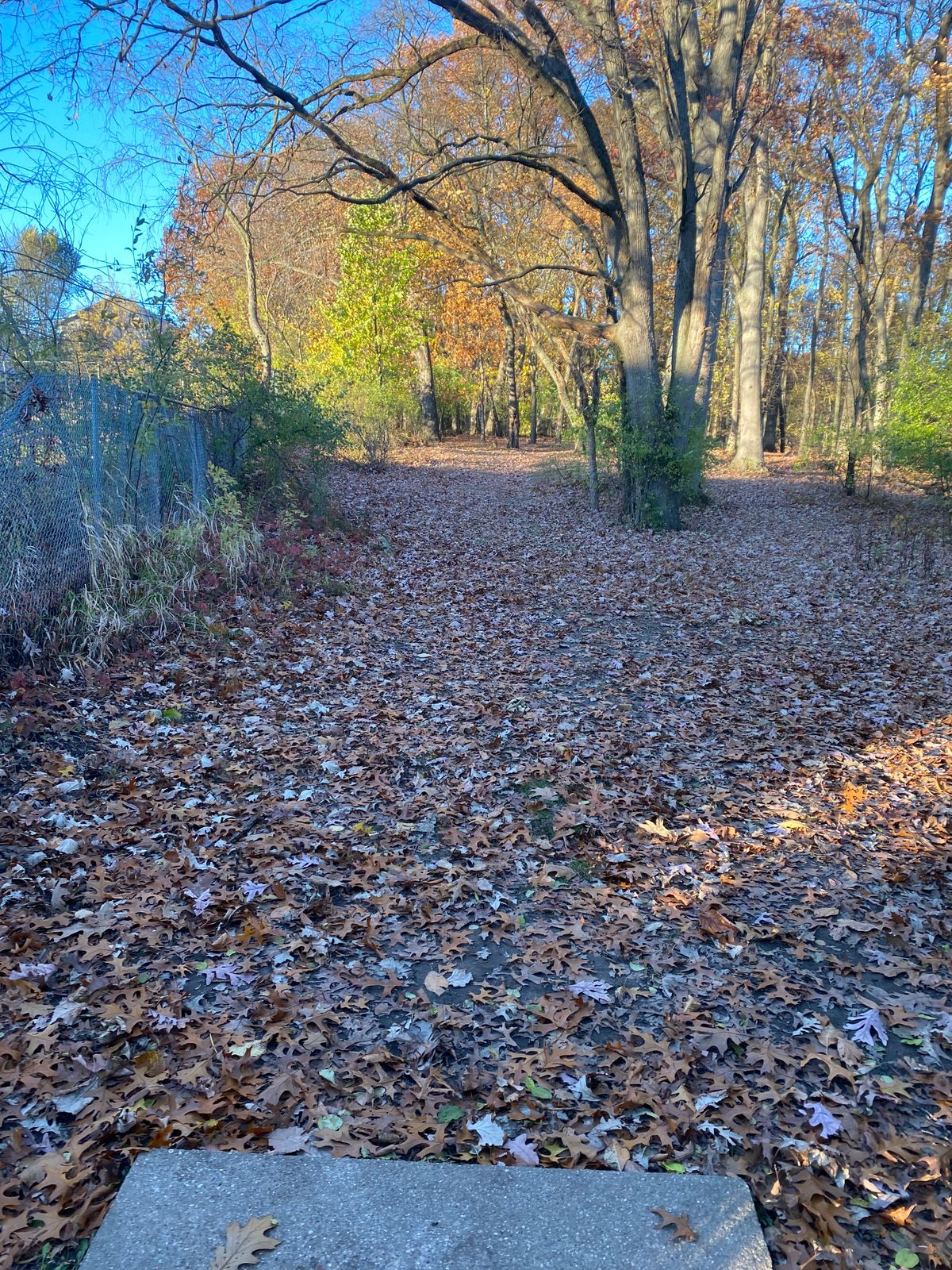 Hole 7 Tee Pad