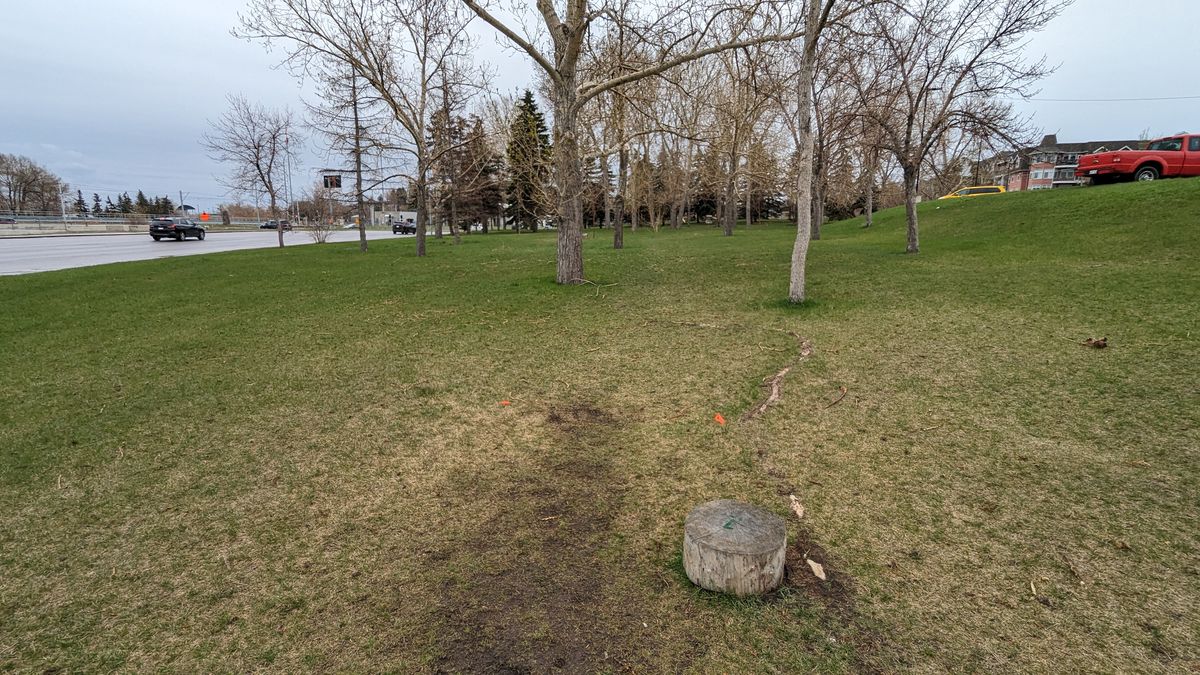 The first tpad of the "full course".