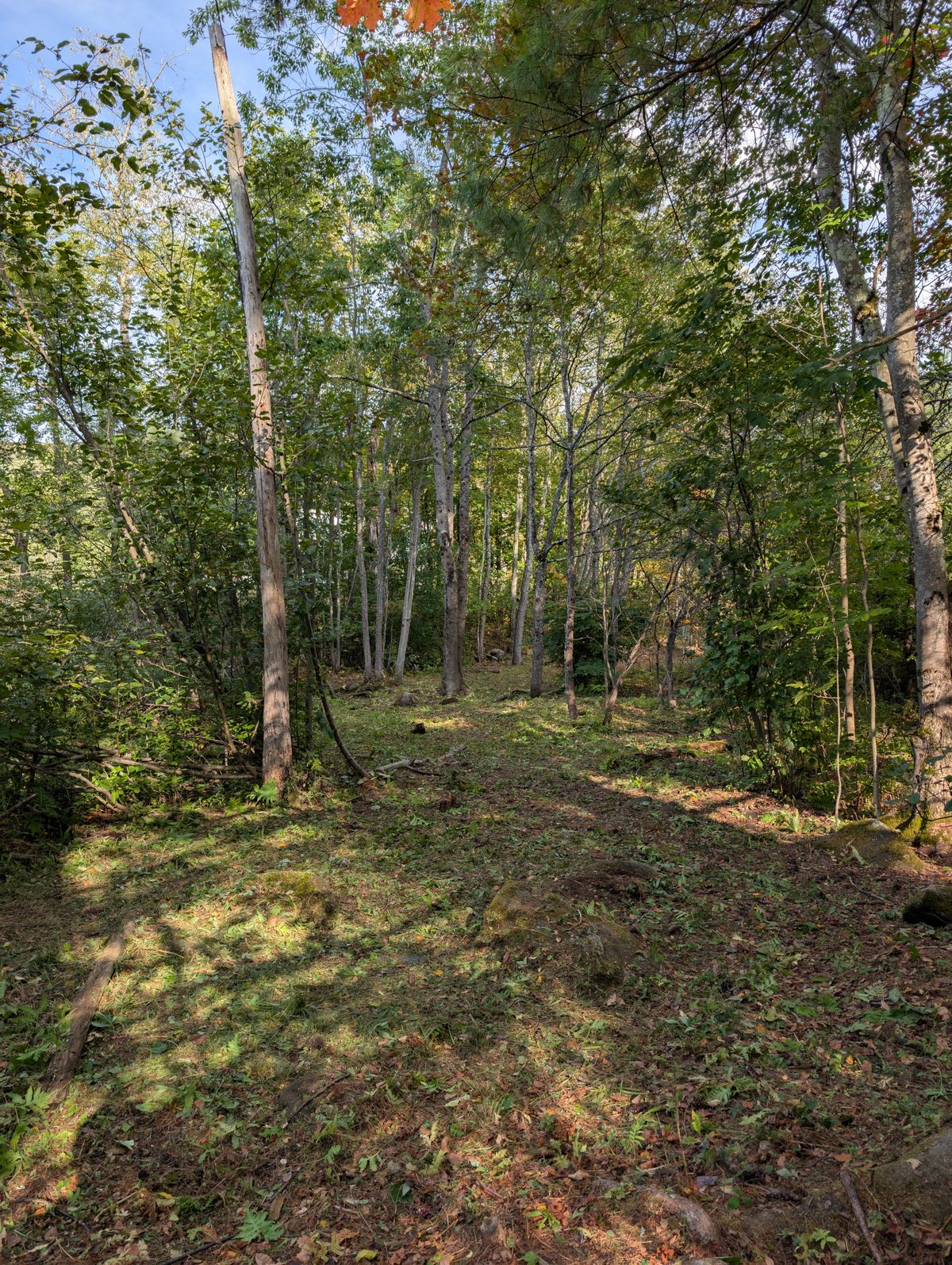 Hole 8