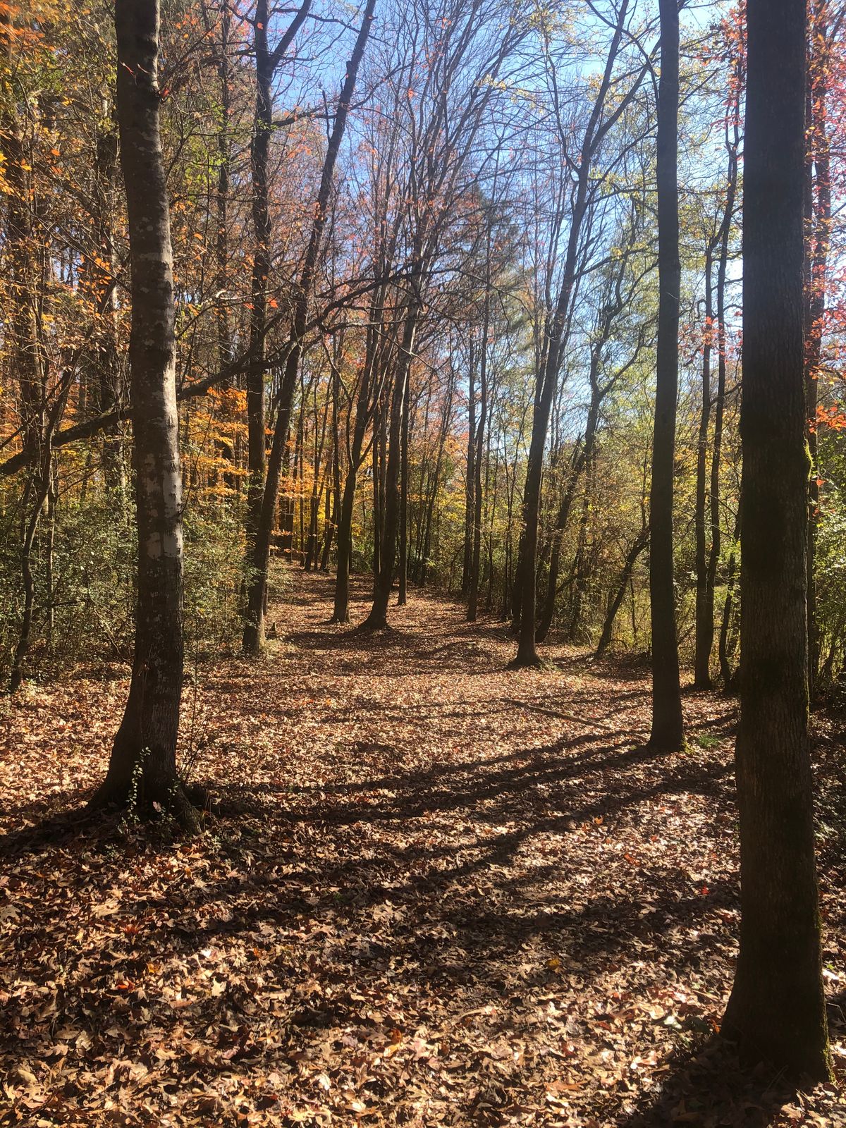 Hole 10