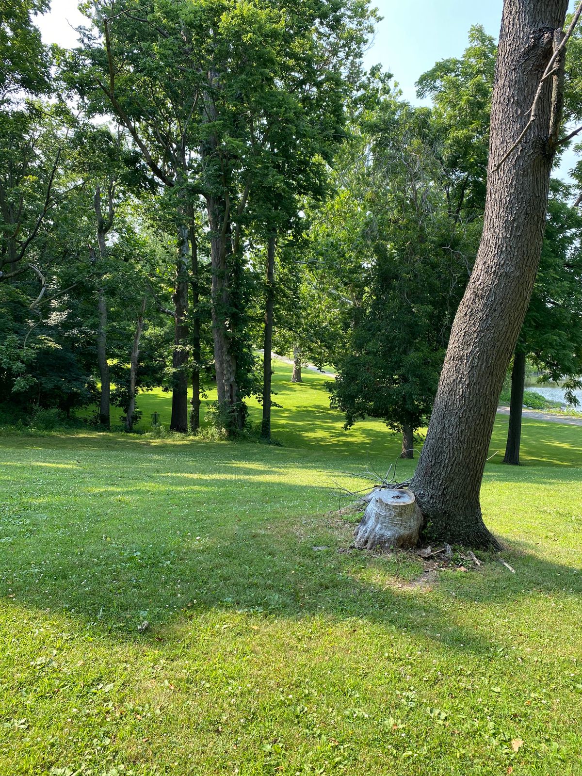 Fairway for 14