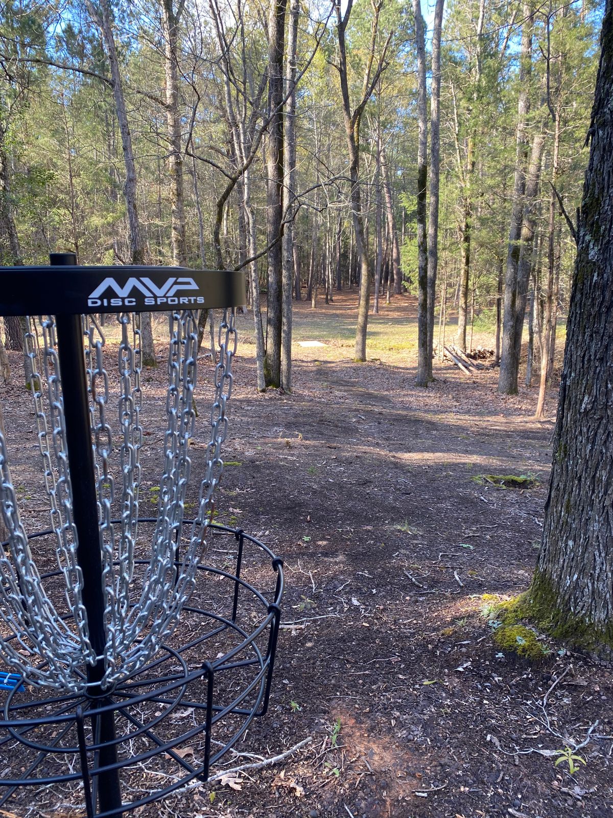 Hole 3 Long Basket