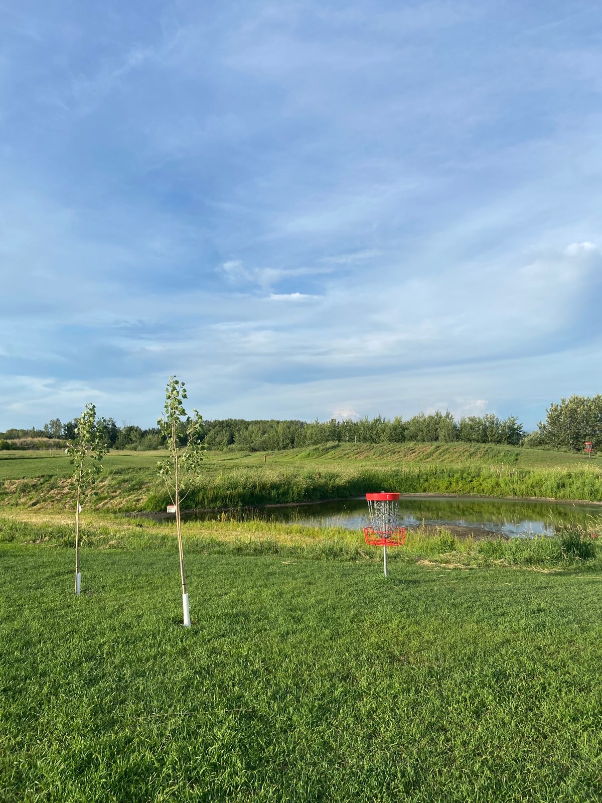 Hole 7 Green