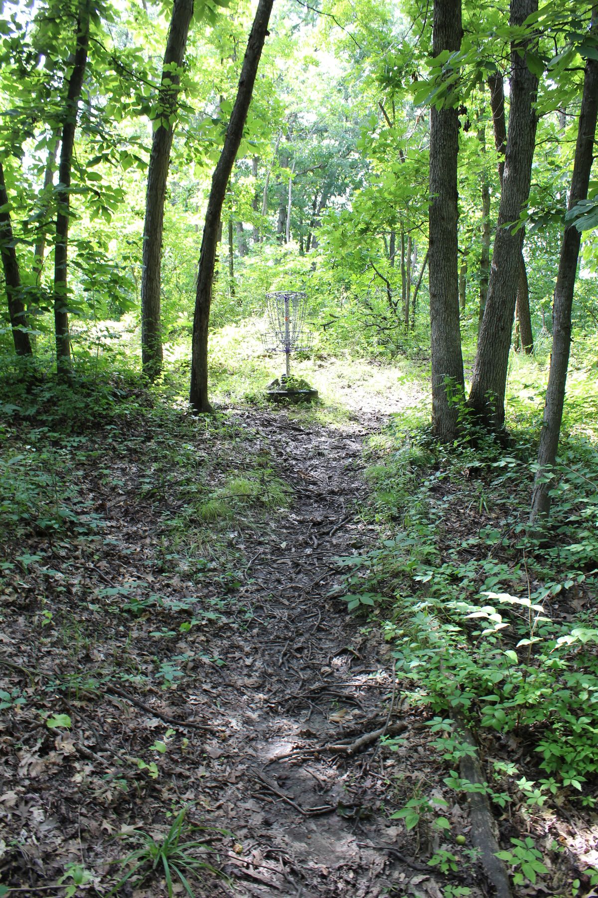 Hole 13 (Circle 1)