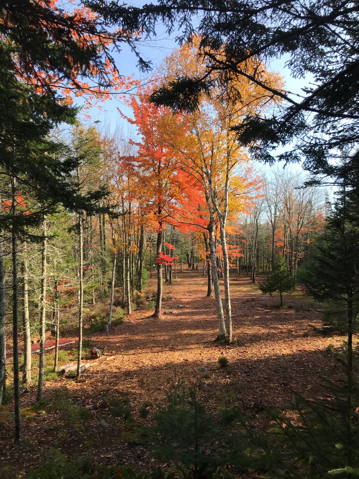 View from 14’s tee pad