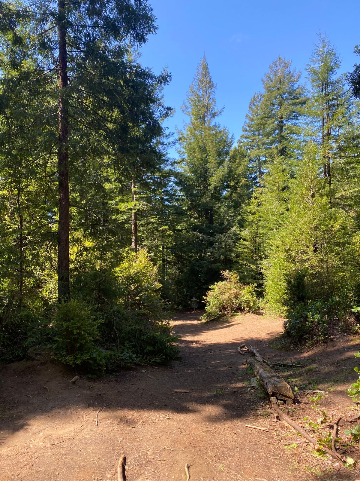 Looking down hole 7s fairway
