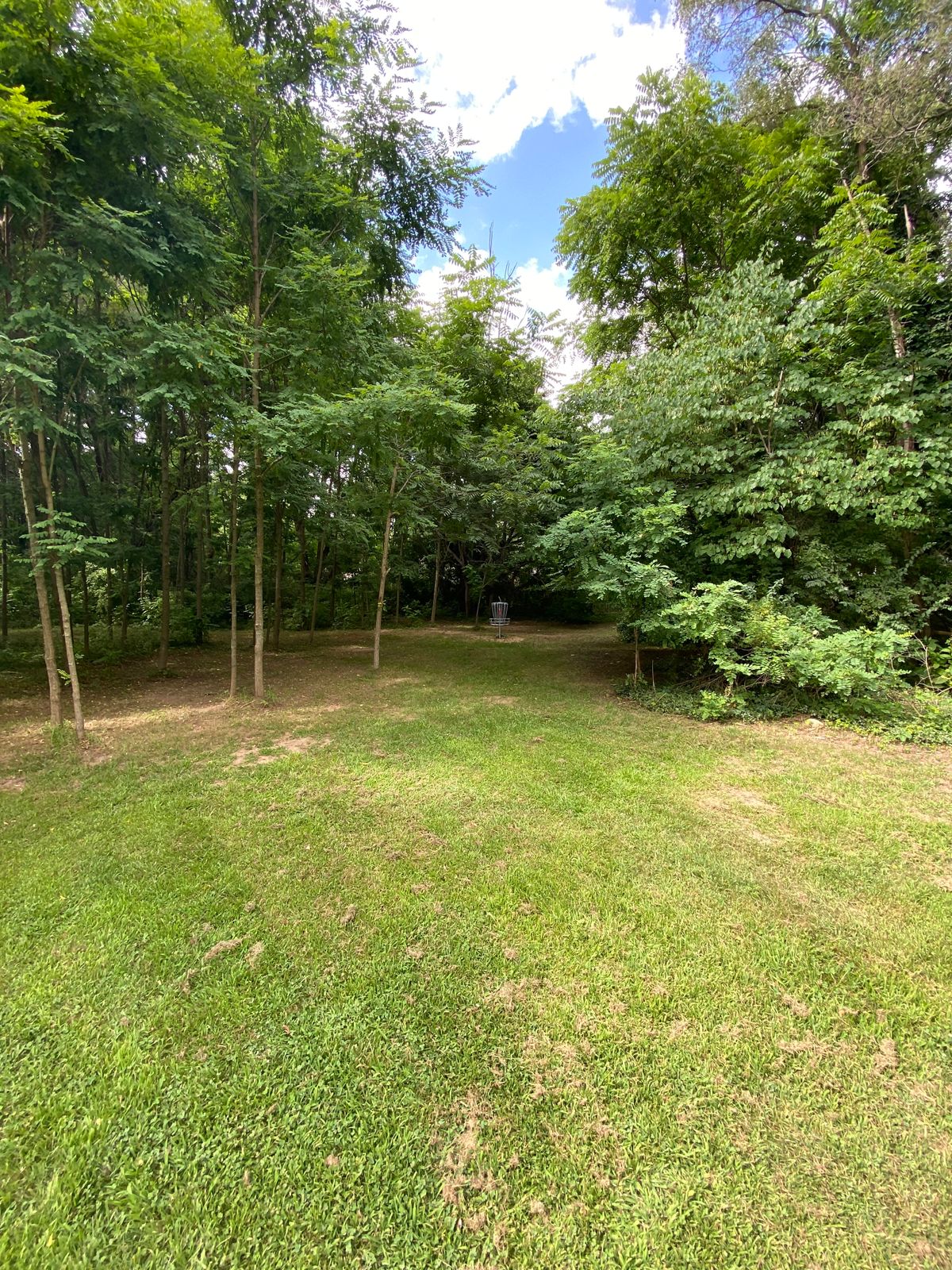 Green on hole 5