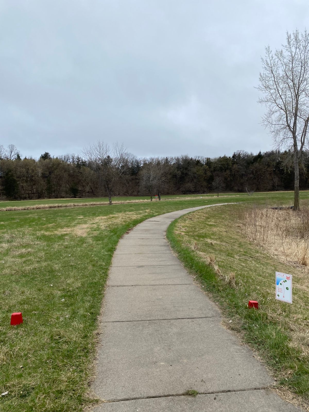 Hole 8 (April 2021)