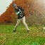 User avatar image