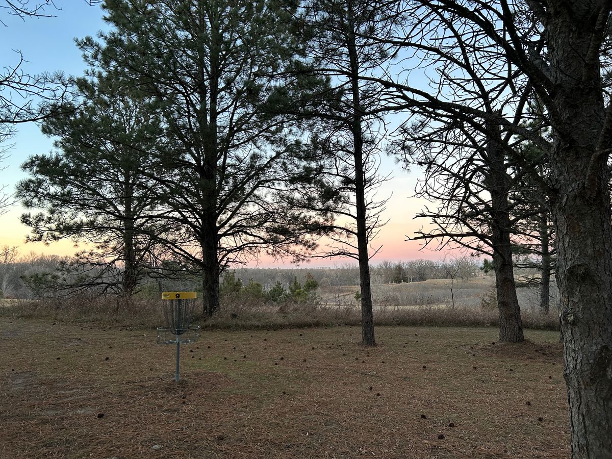 The basket of hole nine is placed in a great spot surrounded by tall pines