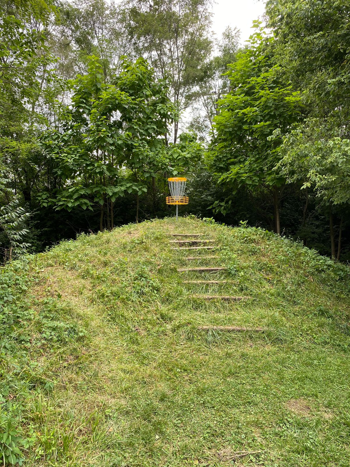 Hole 6 approach