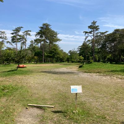 Hole 1 for 9 hole short course (to basket 1) and 18 hole alternate course (to basket 2)