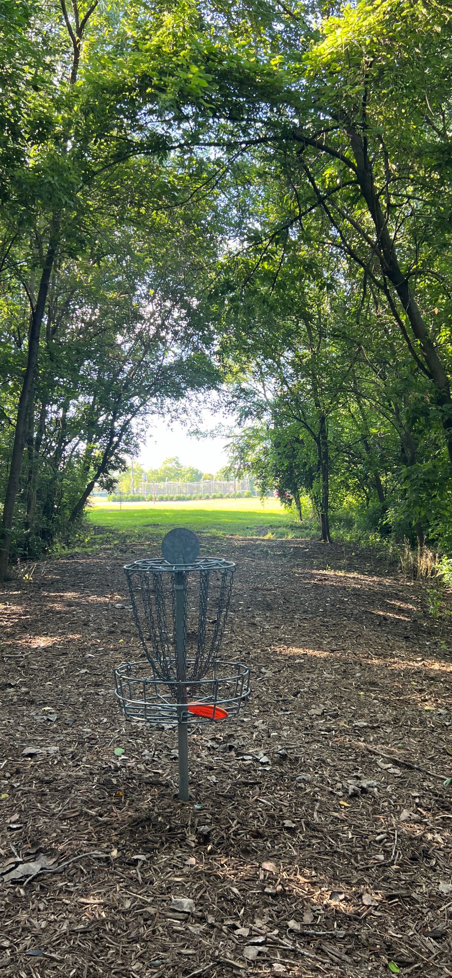 Hole 5 - Have to Exit the basket pocket area the way you came in - June 2024