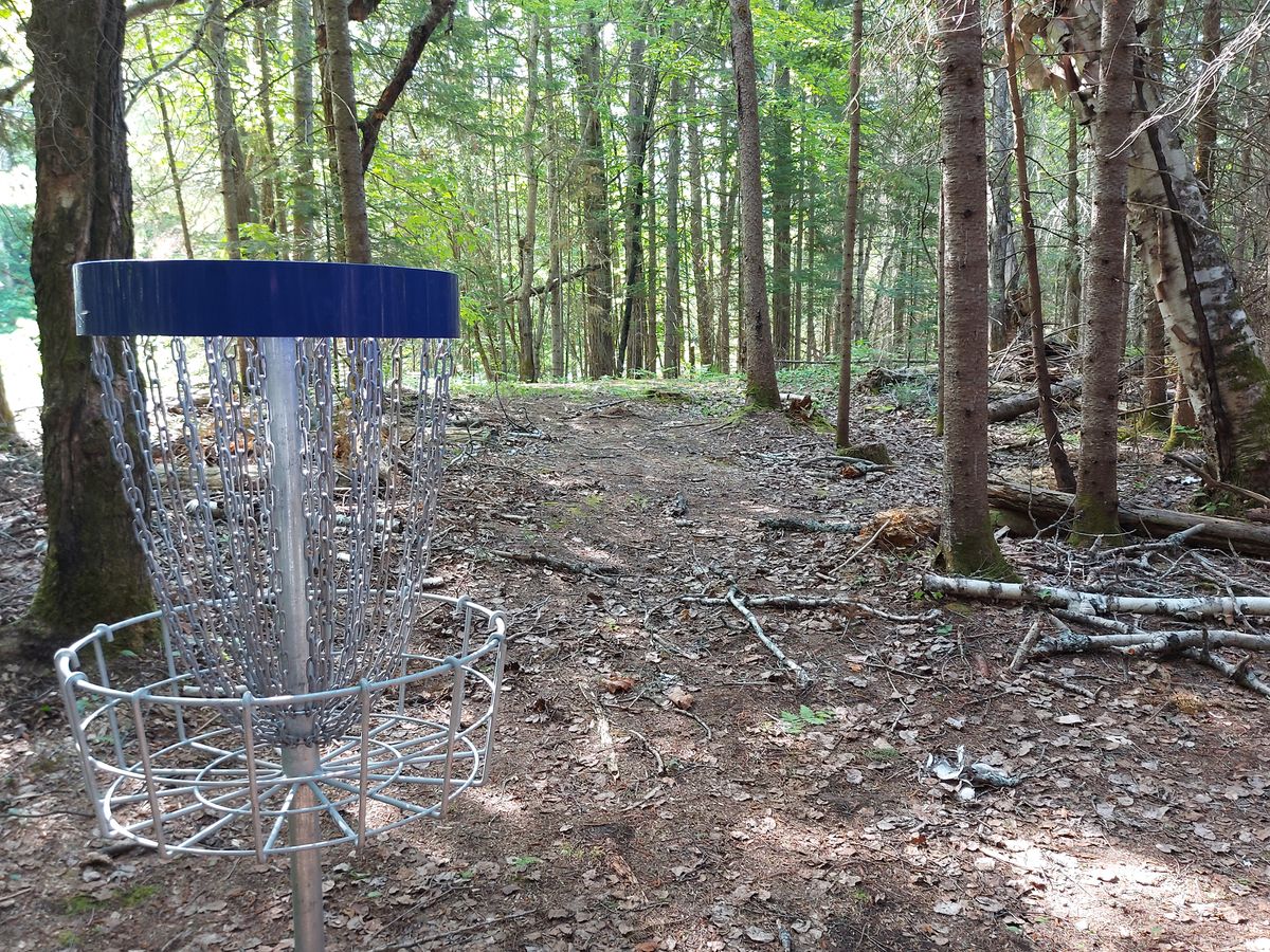 Reverse back up the fairway on hole 8.🍁🌲🍁🌲🍁🌲