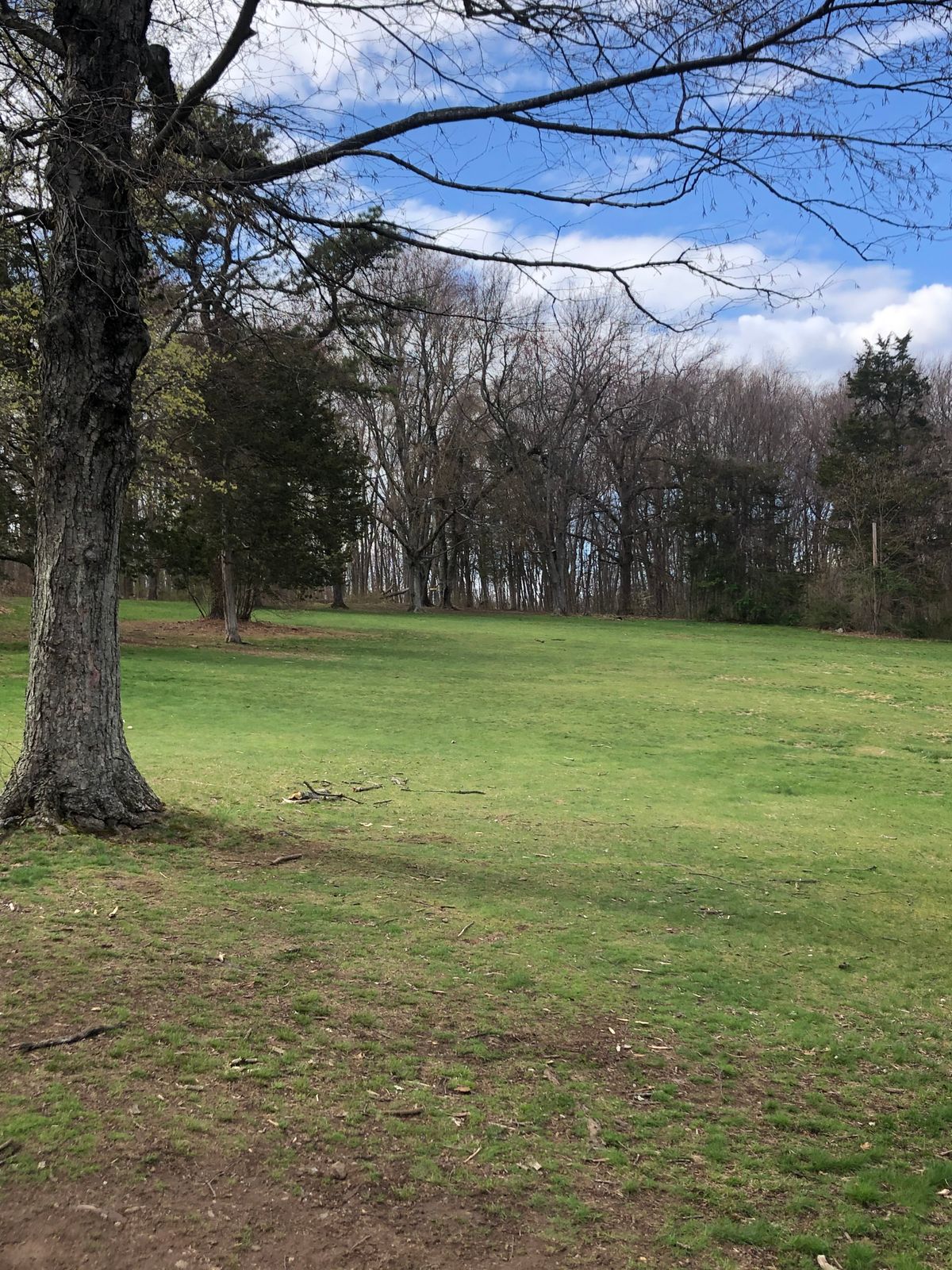 Hole 7. Open throw.