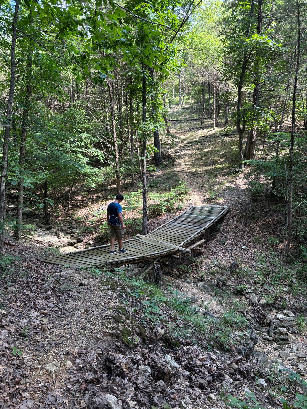 Bridge