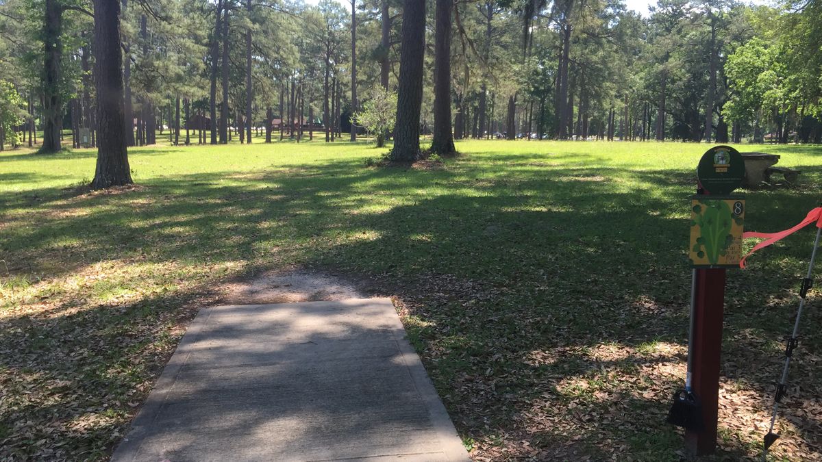 Hole 8