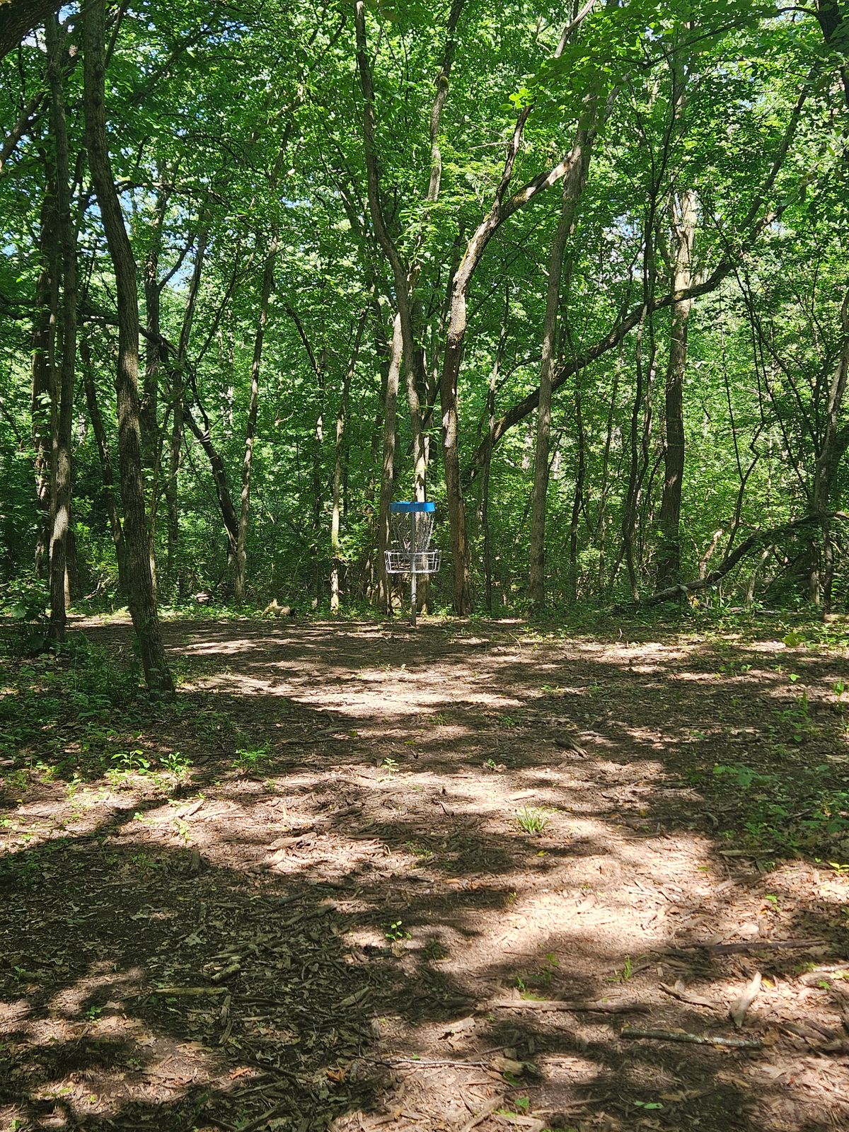 Hole 6 green