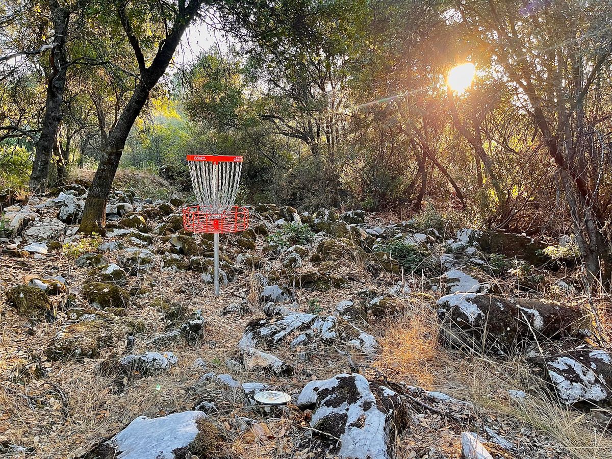 Hole 2 Basket