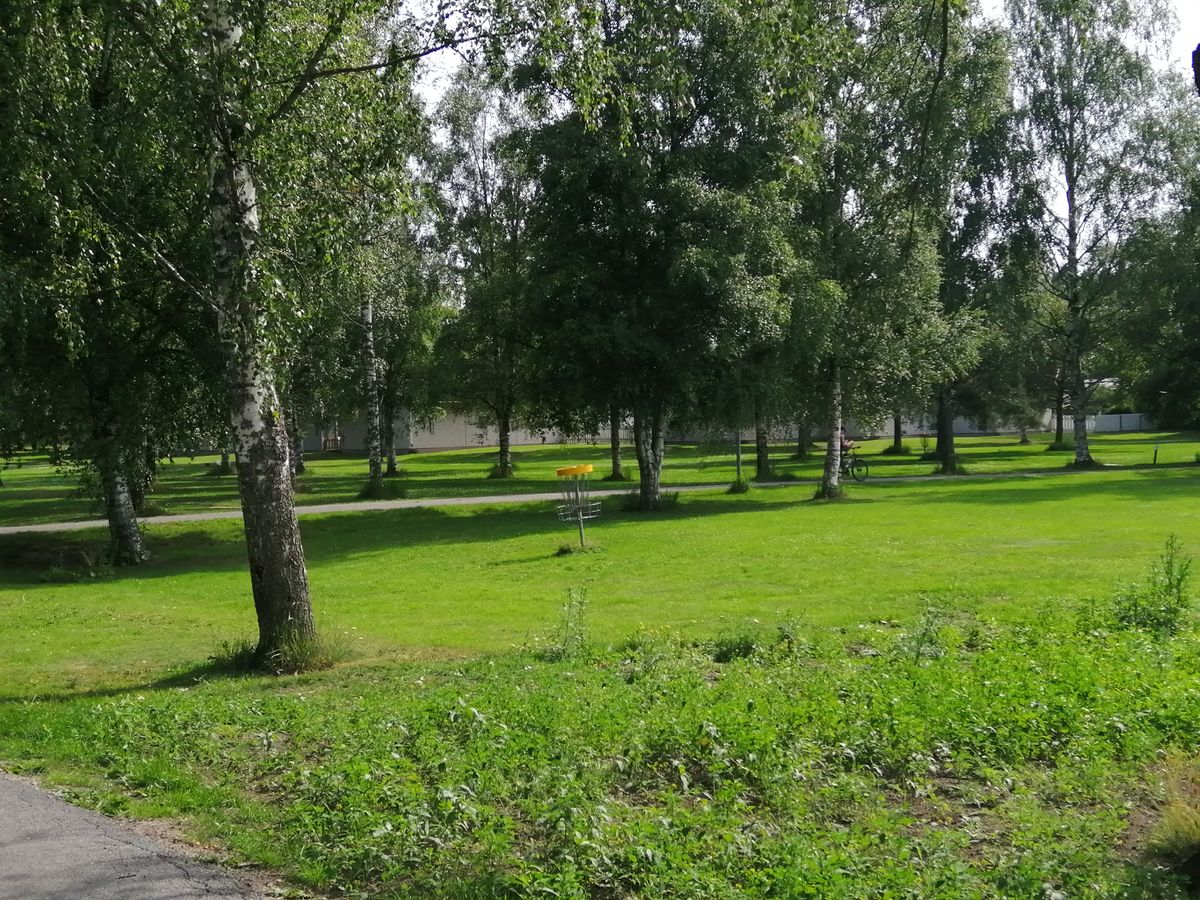 Väyl