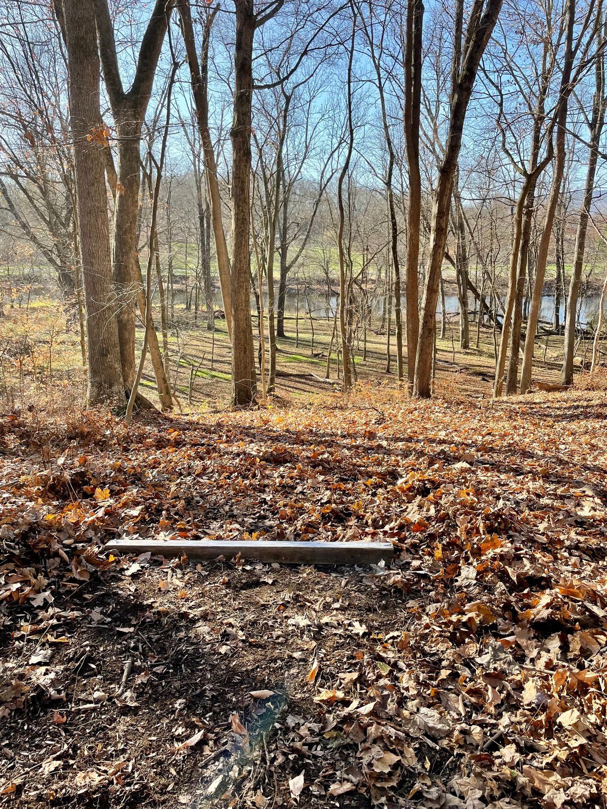 Hole 12 Short tee in the Fall