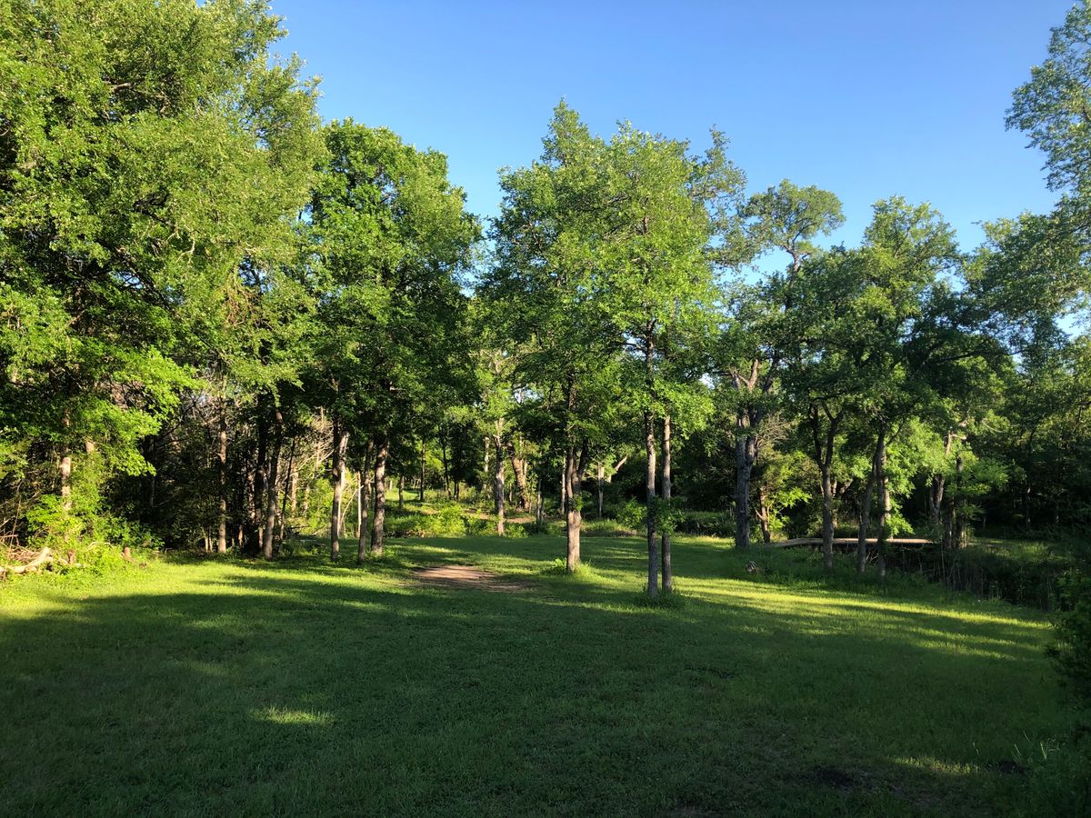 Hole 5 fairway.