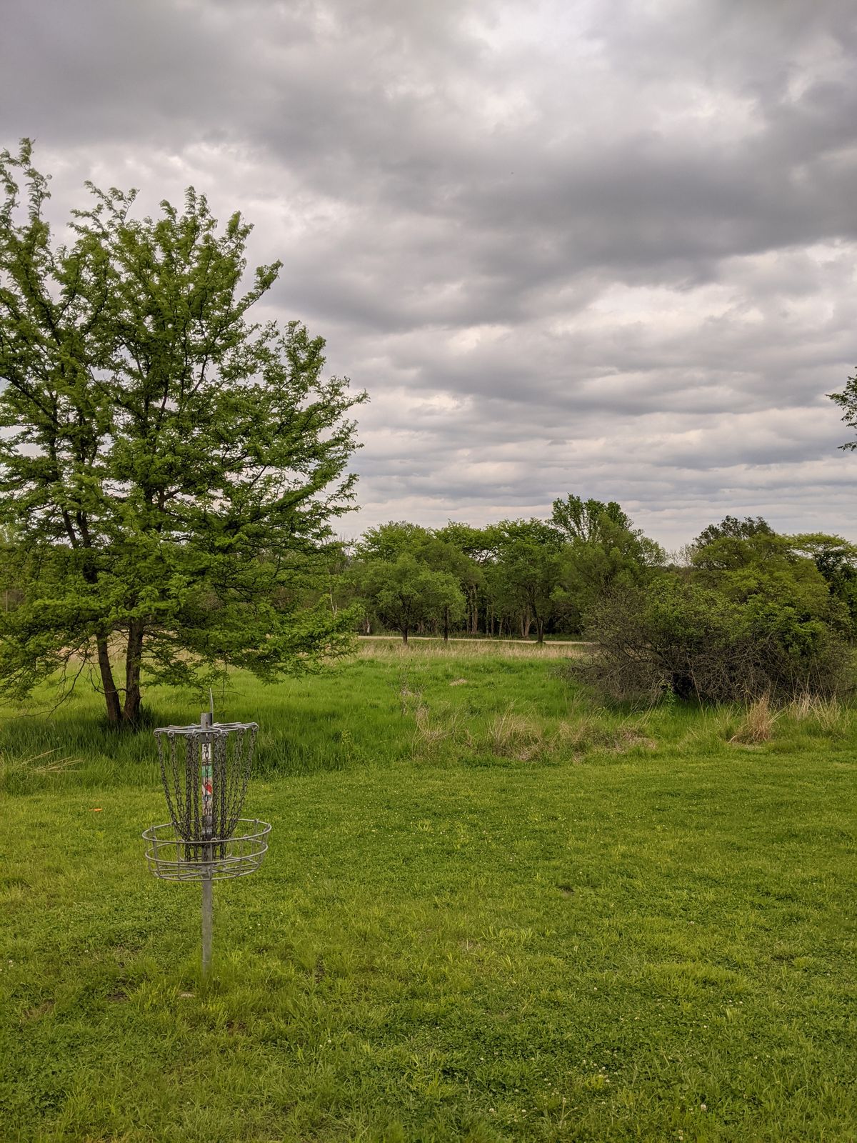 Easier to layup the first shot and throw over the tall grass for birdie on 15