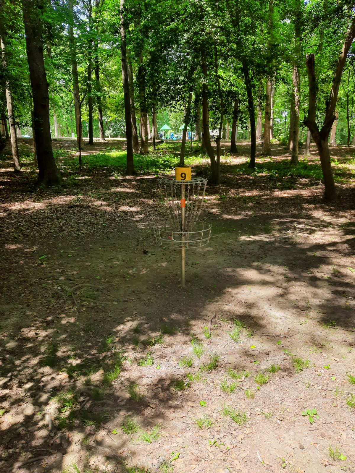 Hole 9 Basket