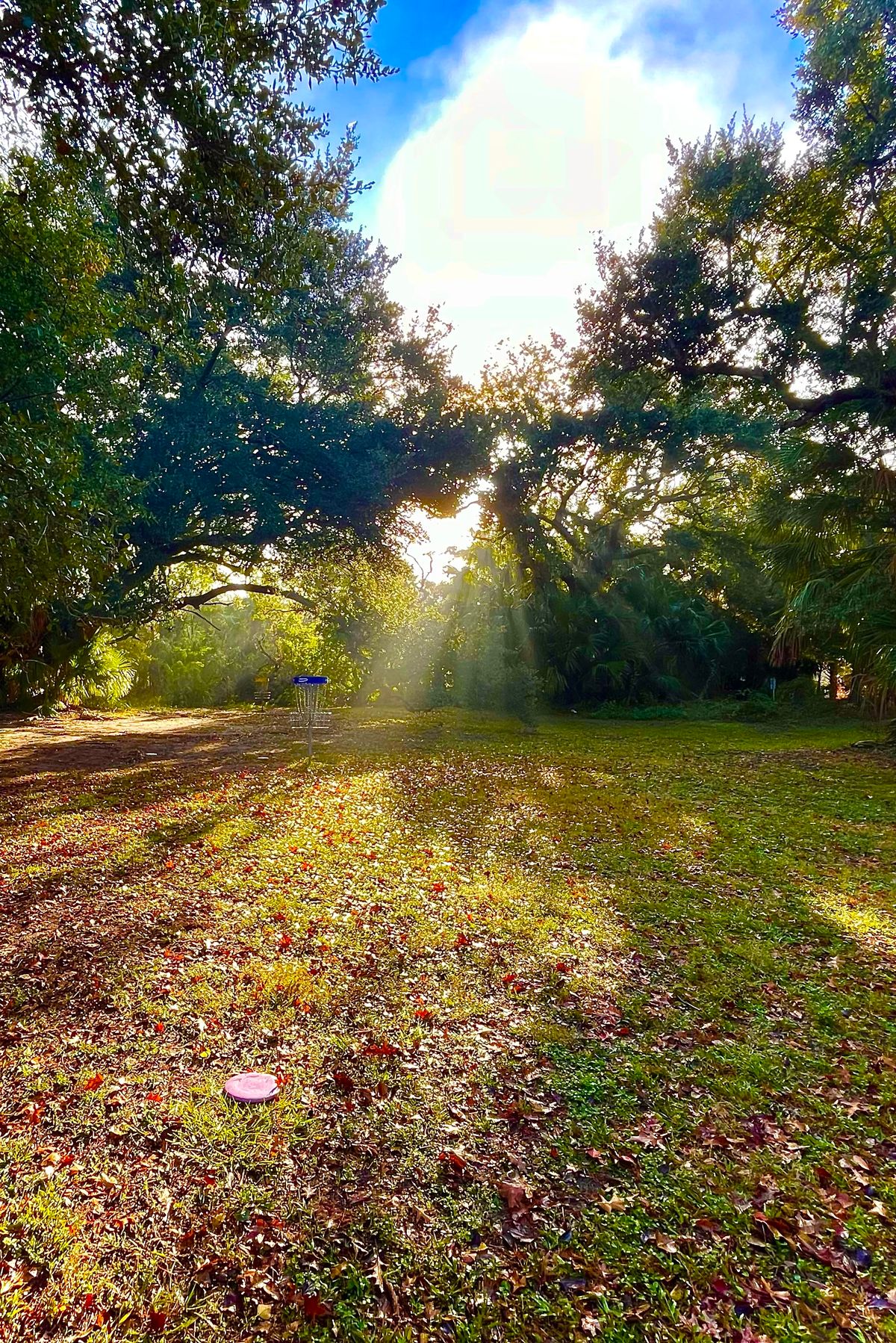 Hole 16 after a really foggy morning.