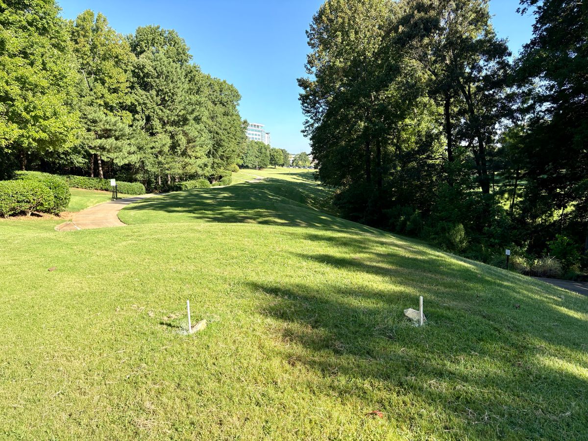 Hole 6 tee