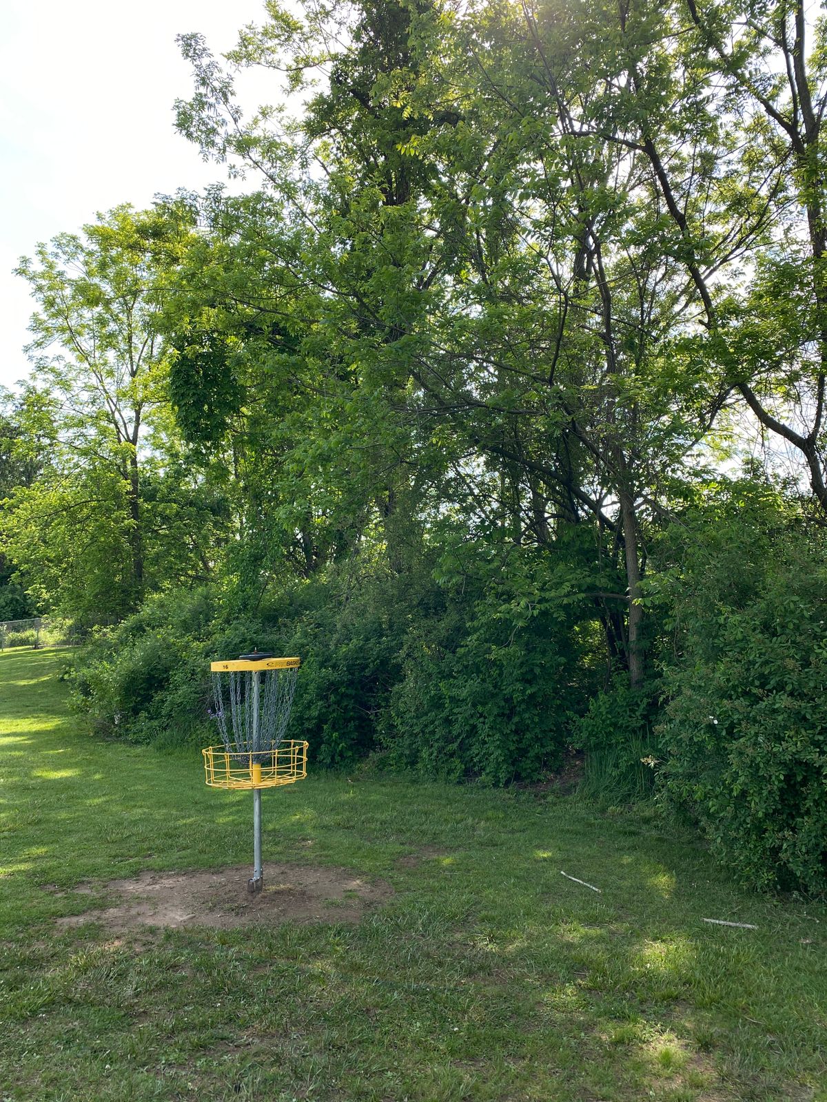 Hole 16 basket