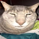 User avatar image